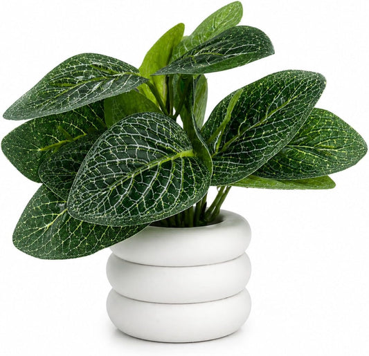 Mini Artificial Plant in White Zen Ceramic Pot for Decor