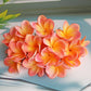 Artificial Plumeria Flower Stems Set – Real-Touch Frangipani