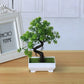Artificial Potted Bonsai Plant for Home Table Decor