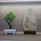 Artificial Potted Bonsai Plant for Home Table Decor